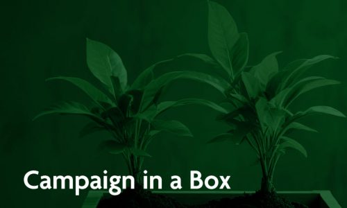 Campaign in a Box