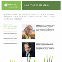 Beacon Investment Strategy