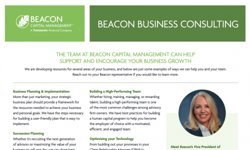Business Consulting